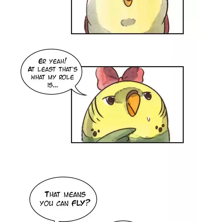 A Budgie's Life Chapter 236: Ep.235: