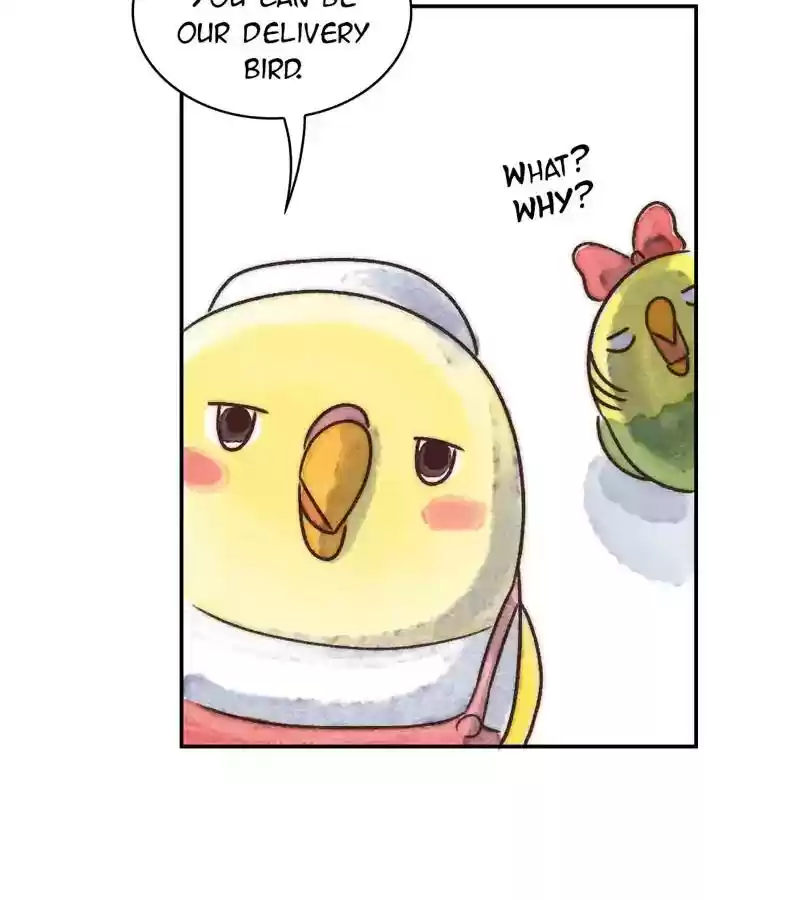 A Budgie's Life Chapter 236: Ep.235: