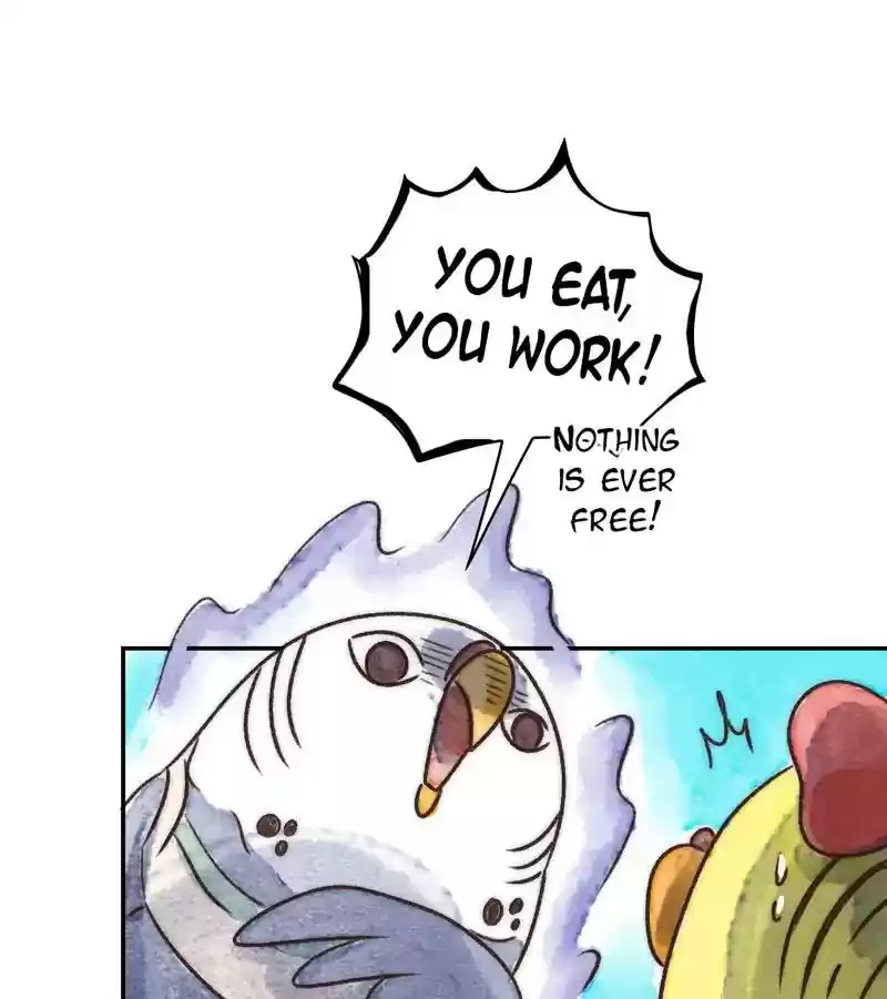 A Budgie's Life Chapter 236: Ep.235: