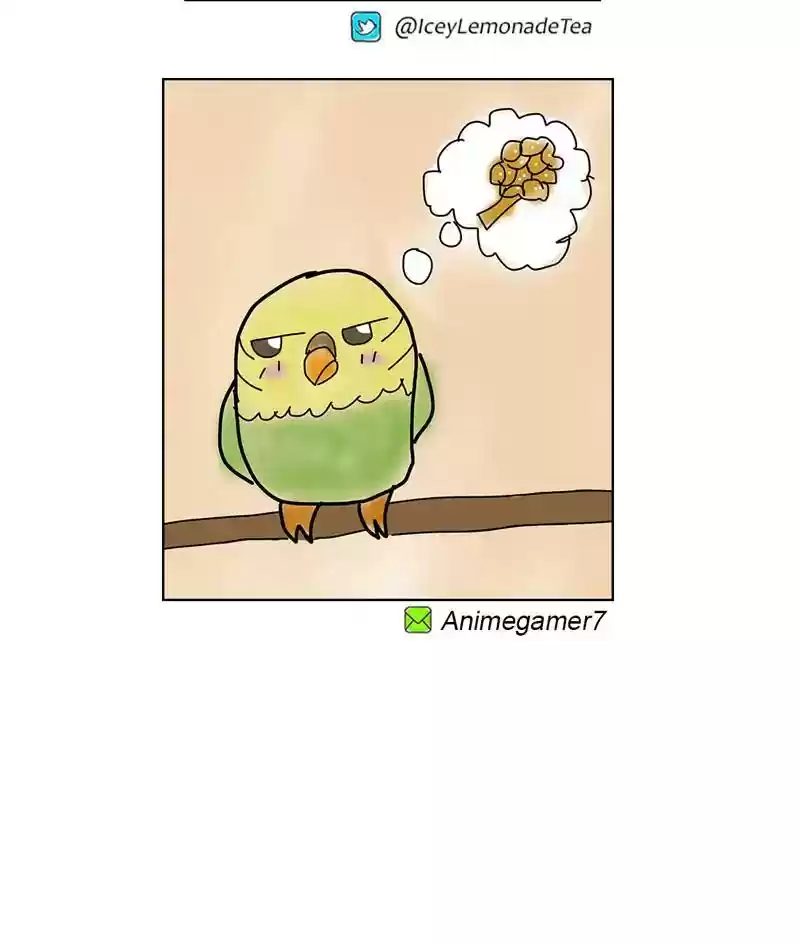 A Budgie's Life Chapter 236: Ep.235: