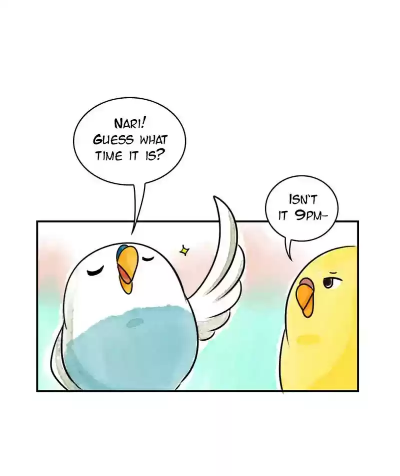 A Budgie's Life Chapter 237: Ep.236: