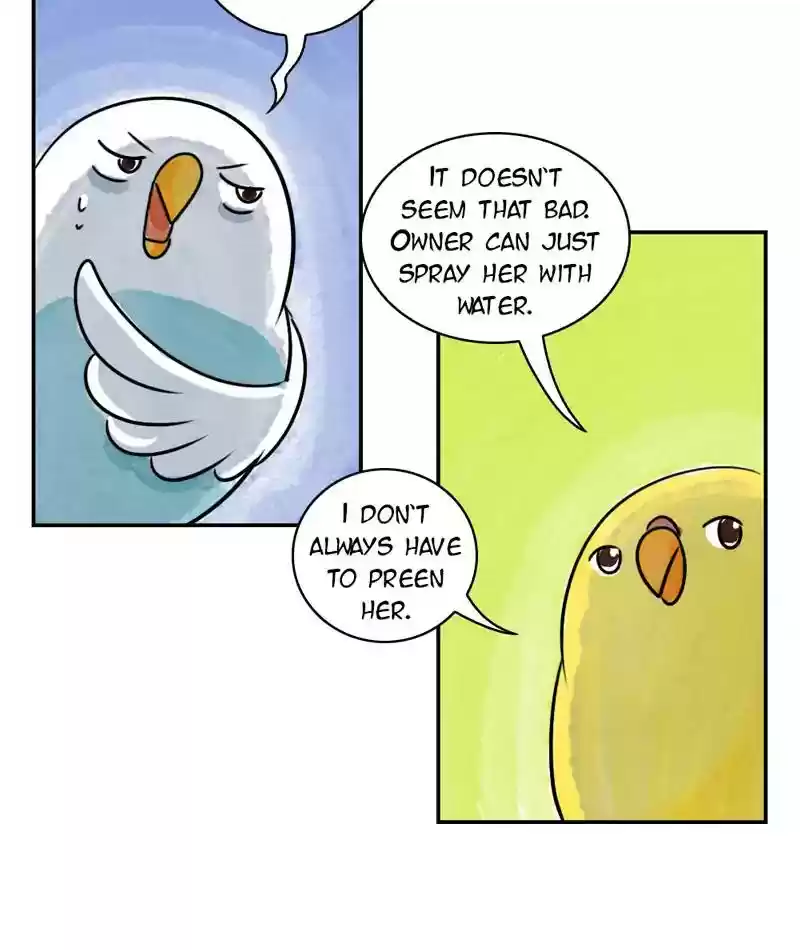 A Budgie's Life Chapter 237: Ep.236:
