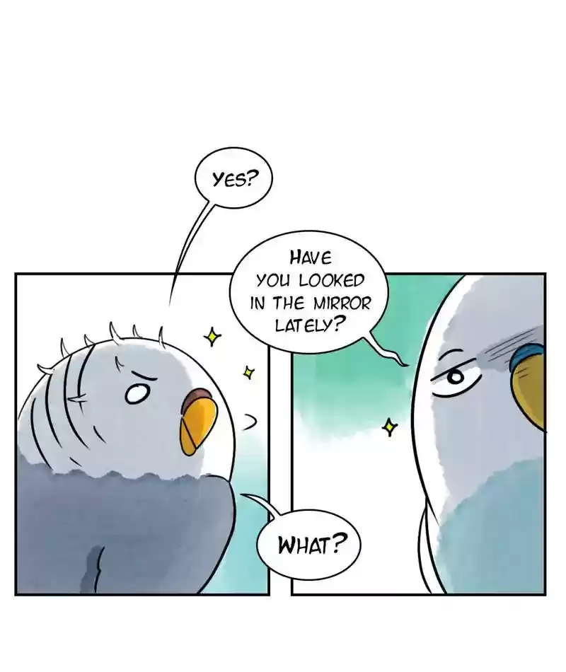 A Budgie's Life Chapter 237: Ep.236: