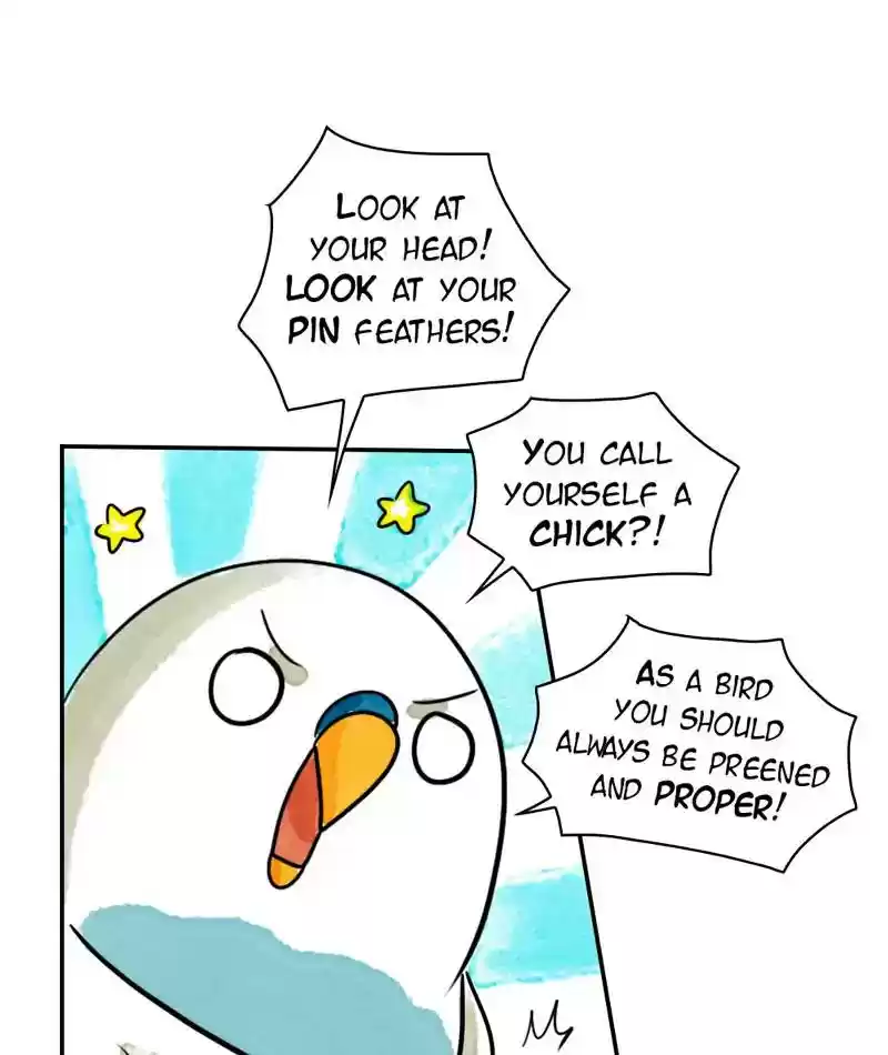 A Budgie's Life Chapter 237: Ep.236: