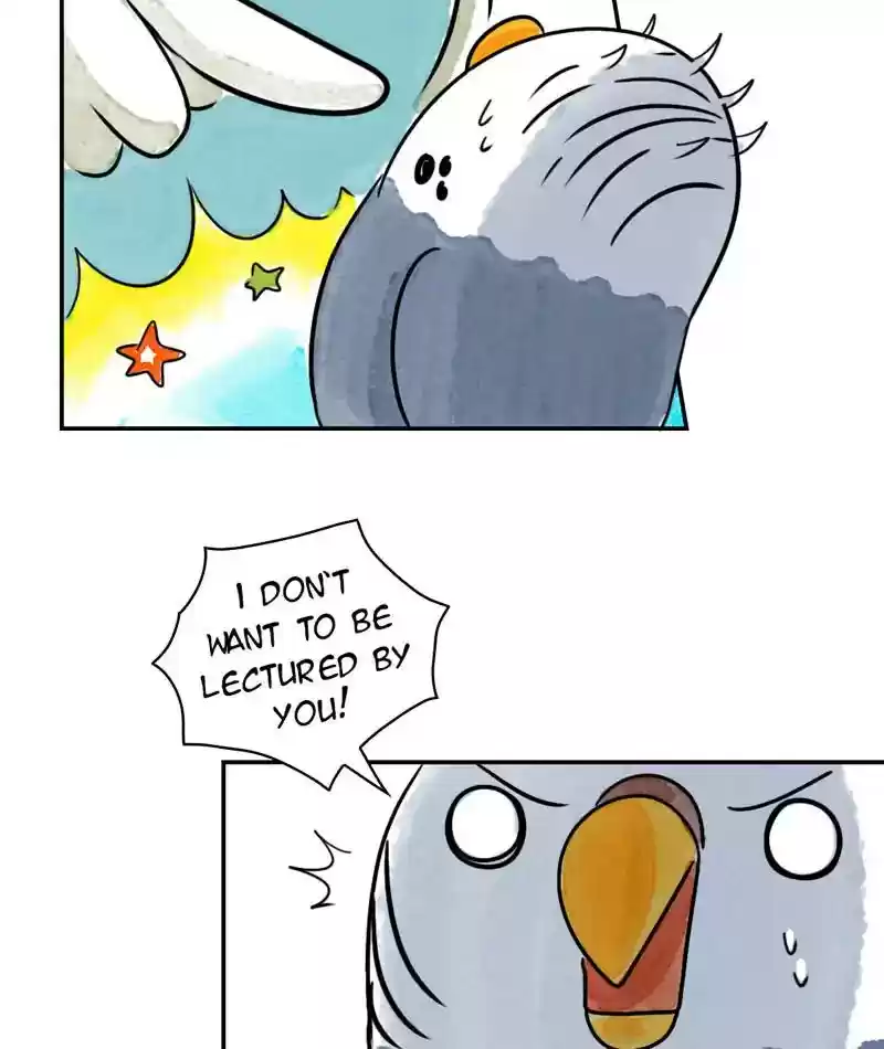 A Budgie's Life Chapter 237: Ep.236: