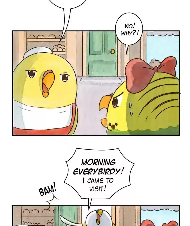 A Budgie's Life Chapter 238: Ep.237:
