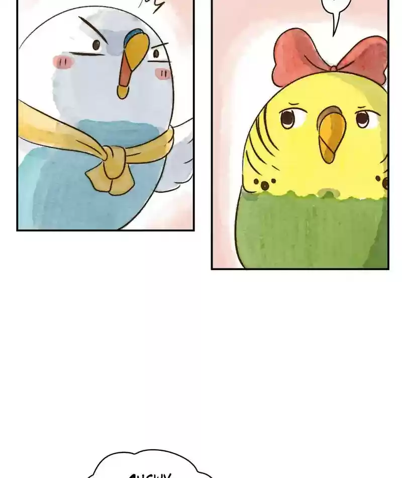 A Budgie's Life Chapter 238: Ep.237: