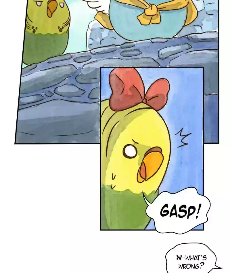 A Budgie's Life Chapter 238: Ep.237: