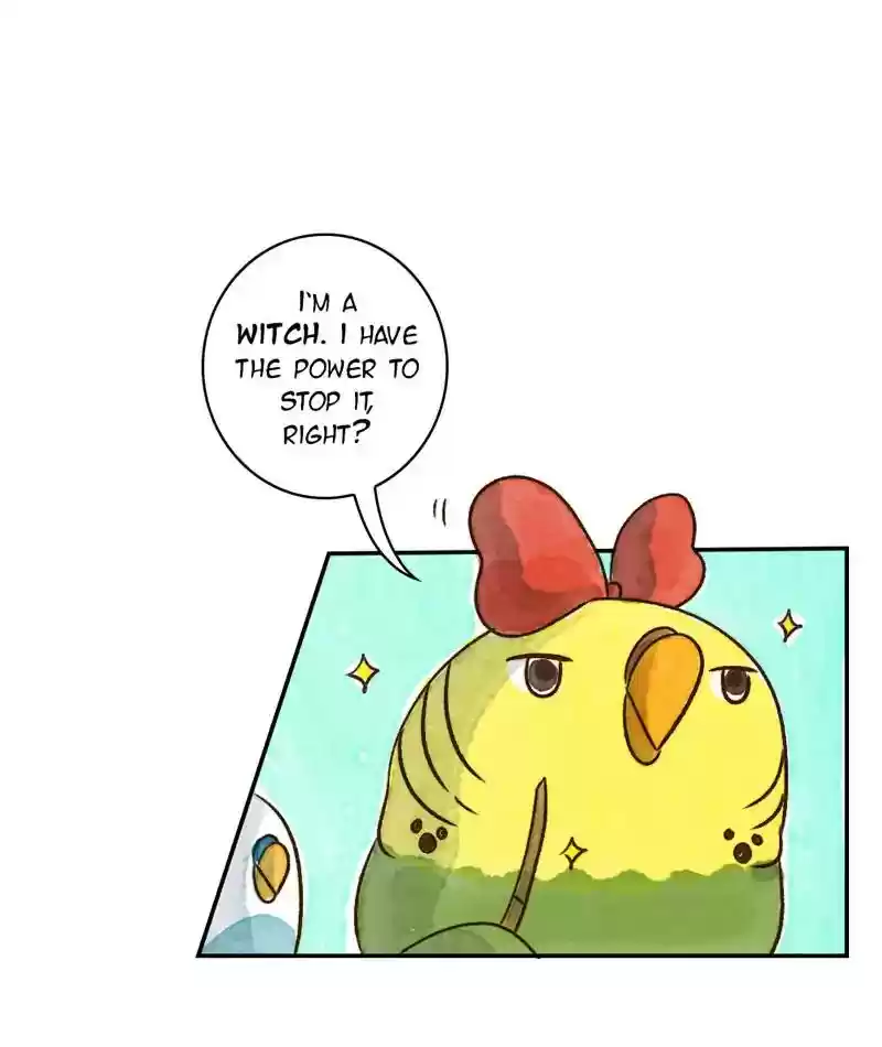 A Budgie's Life Chapter 238: Ep.237: