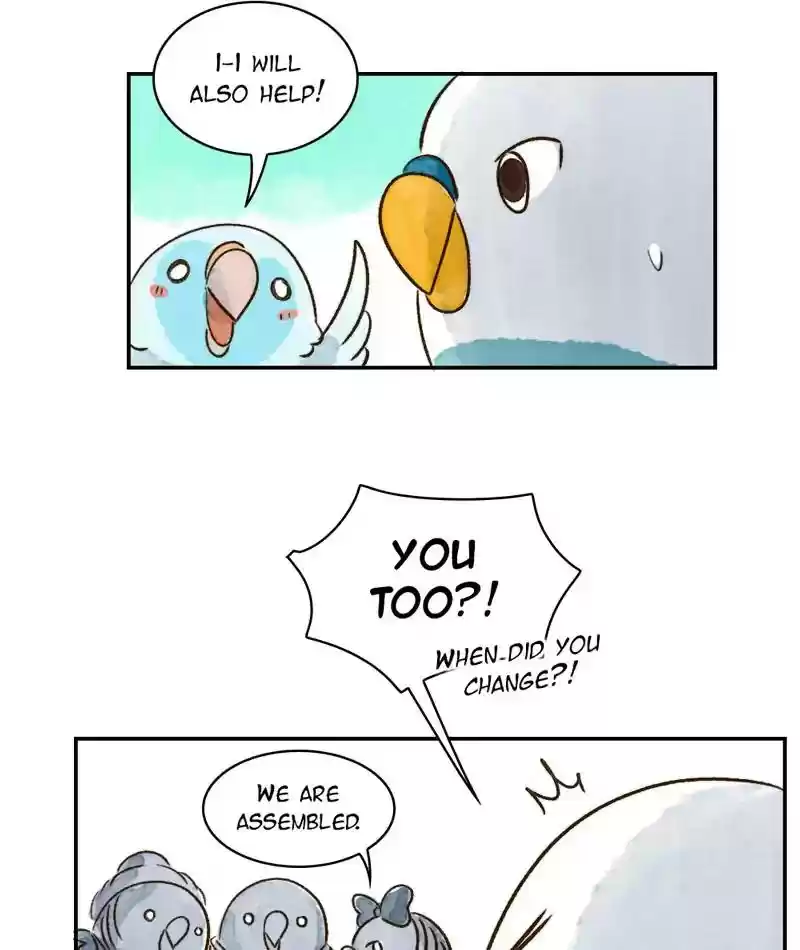 A Budgie's Life Chapter 238: Ep.237: