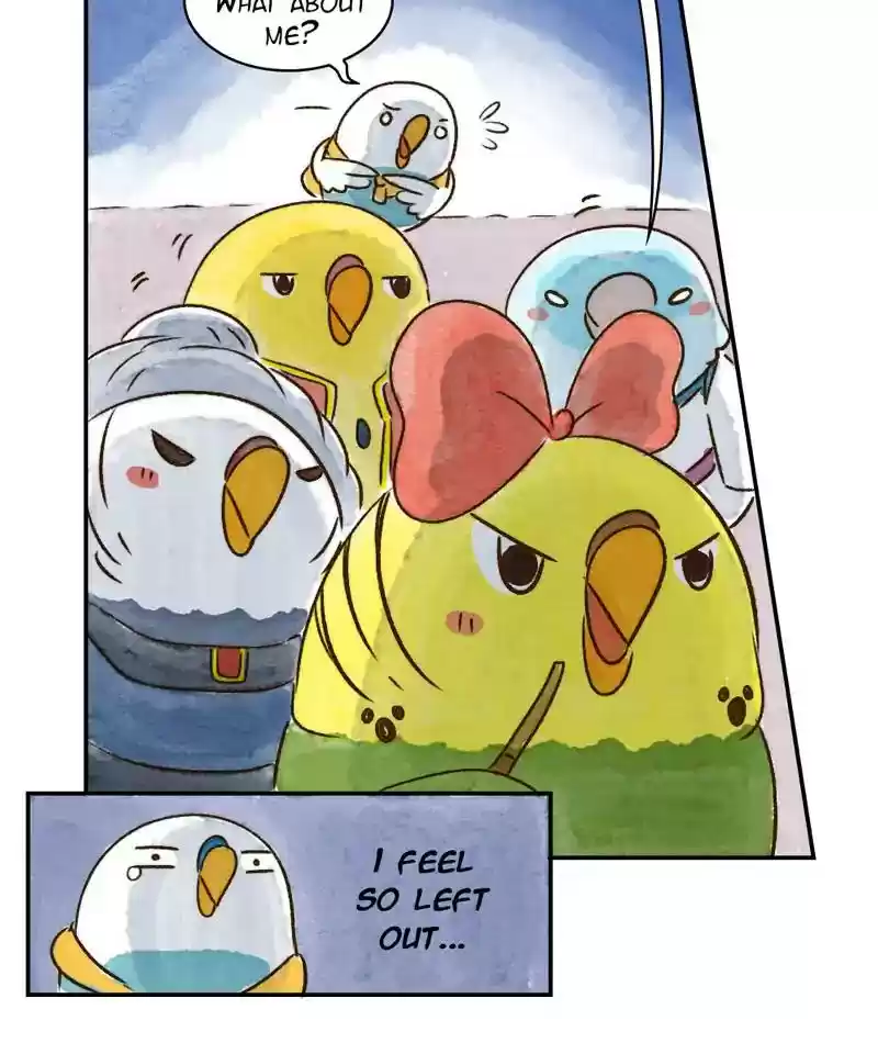 A Budgie's Life Chapter 238: Ep.237: