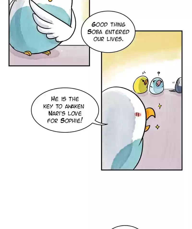 A Budgie's Life Chapter 239: Ep.238: