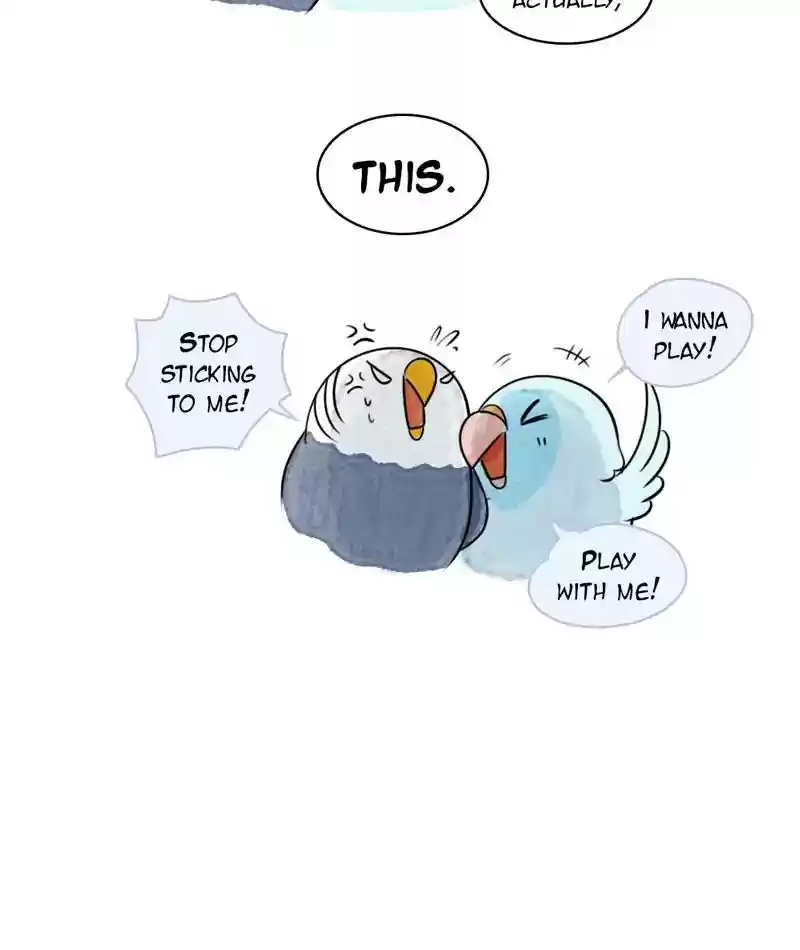 A Budgie's Life Chapter 239: Ep.238: