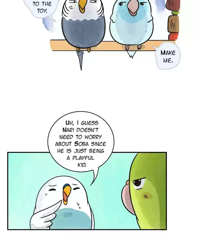 A Budgie's Life Chapter 239: Ep.238: