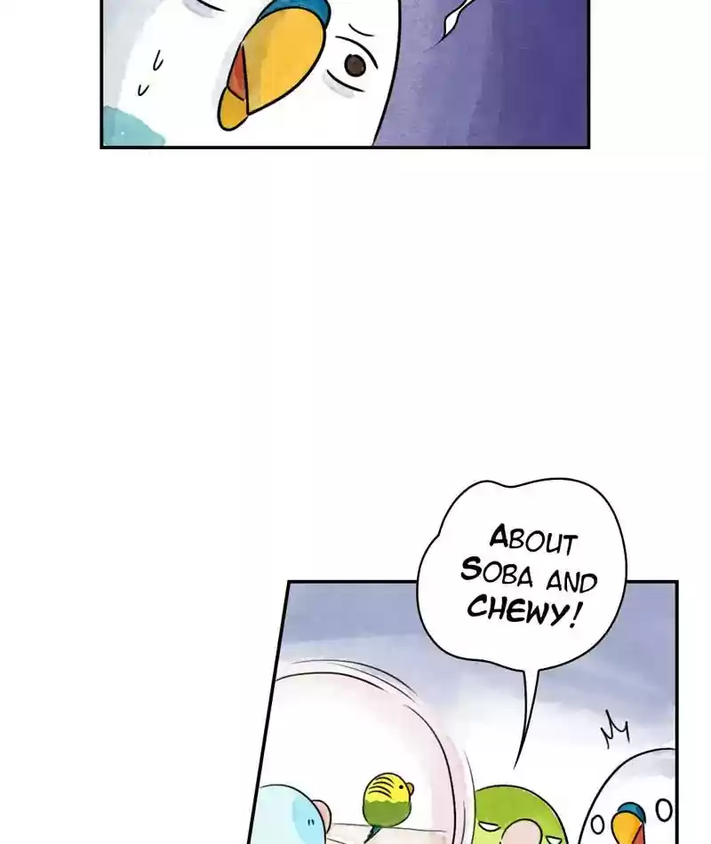 A Budgie's Life Chapter 239: Ep.238: