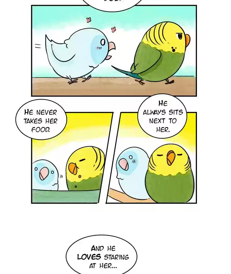 A Budgie's Life Chapter 239: Ep.238: