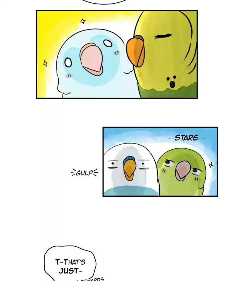 A Budgie's Life Chapter 239: Ep.238: