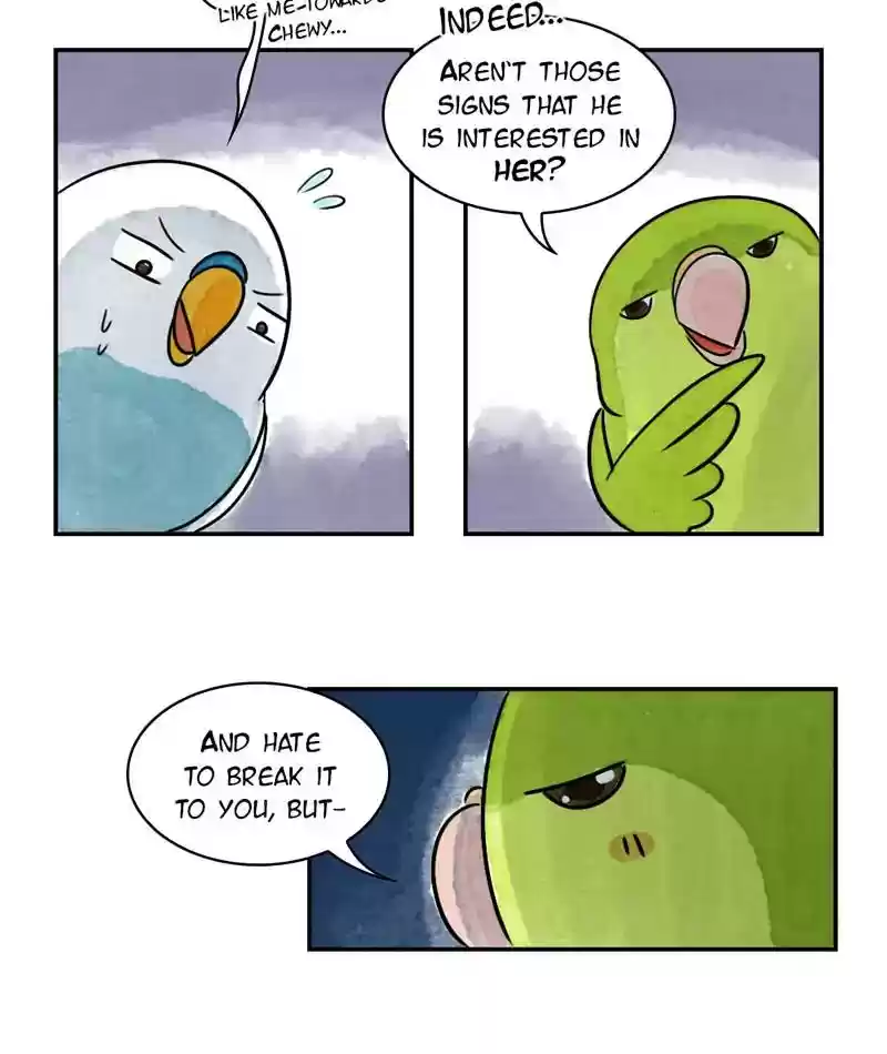 A Budgie's Life Chapter 239: Ep.238: