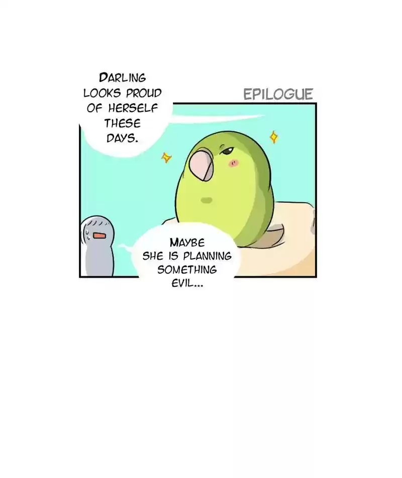 A Budgie's Life Chapter 239: Ep.238: