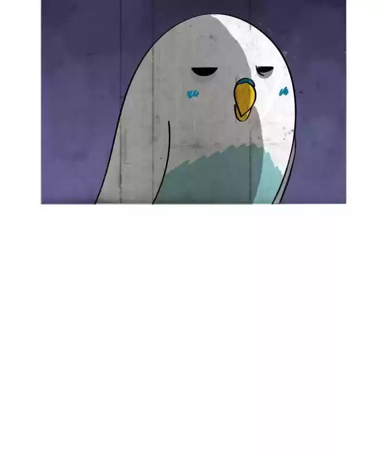A Budgie's Life Chapter 24: Ep.24: