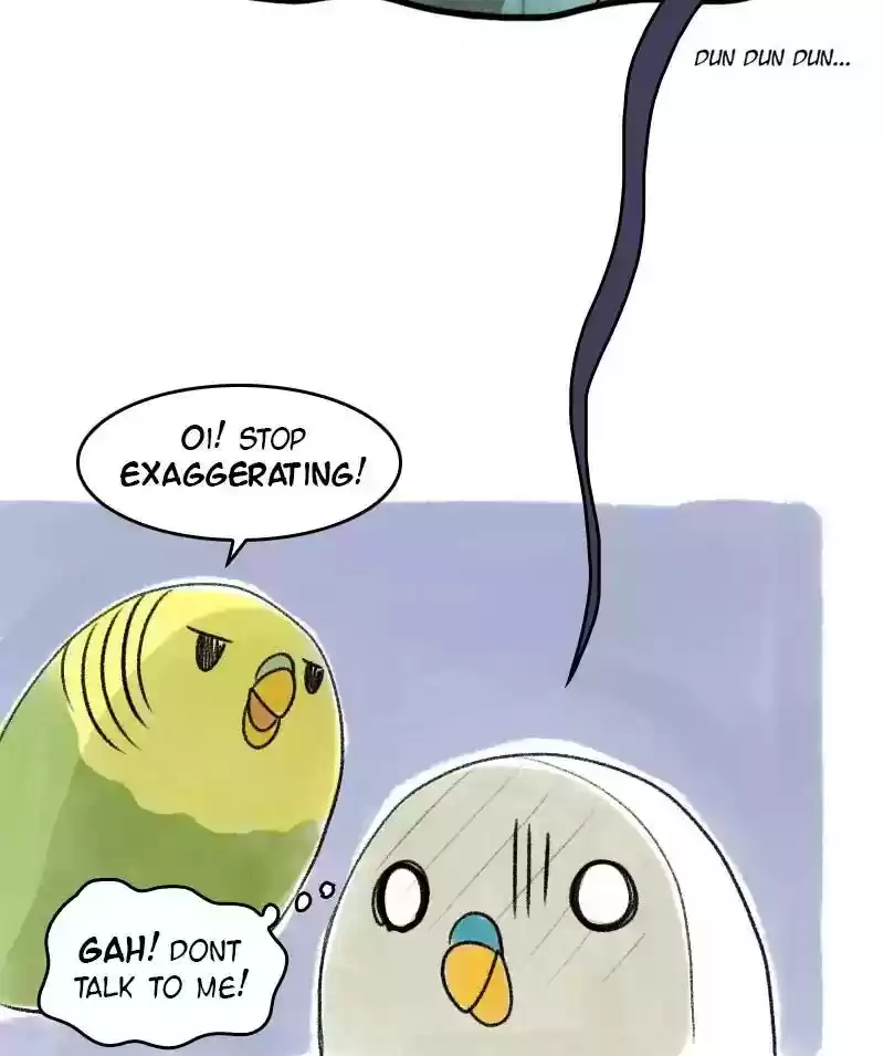 A Budgie's Life Chapter 24: Ep.24: