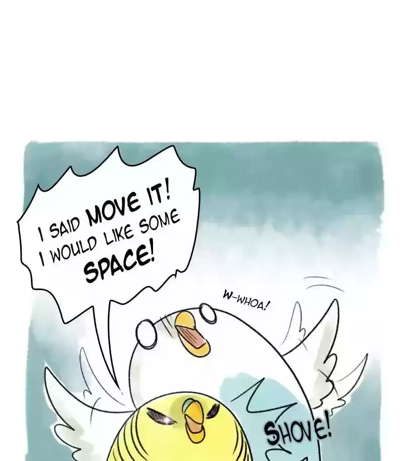 A Budgie's Life Chapter 24: Ep.24: