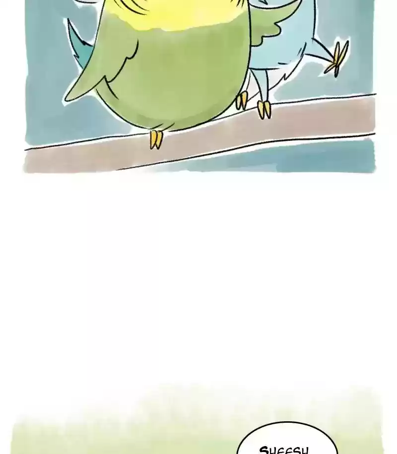 A Budgie's Life Chapter 24: Ep.24: