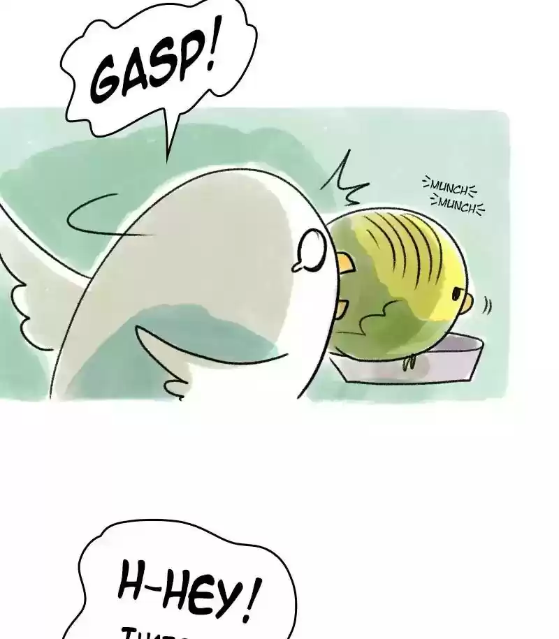 A Budgie's Life Chapter 24: Ep.24:
