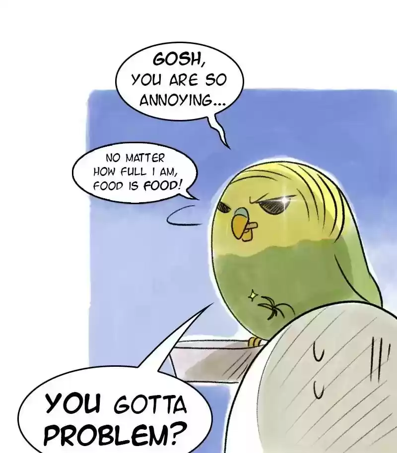 A Budgie's Life Chapter 24: Ep.24: