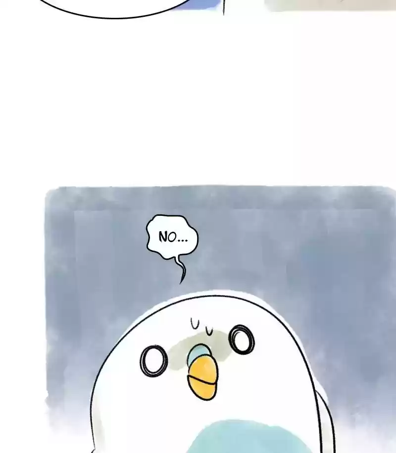 A Budgie's Life Chapter 24: Ep.24: