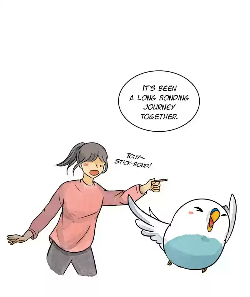 A Budgie's Life Chapter 240: Ep.239: