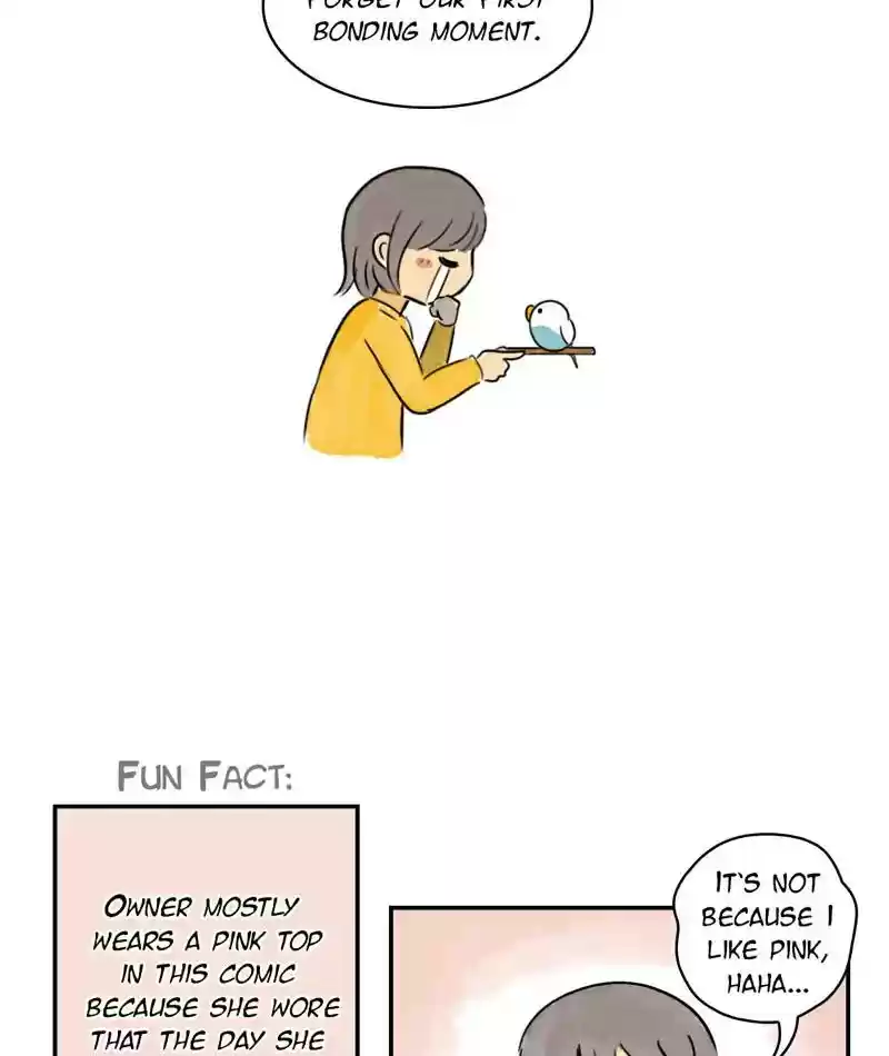 A Budgie's Life Chapter 240: Ep.239: