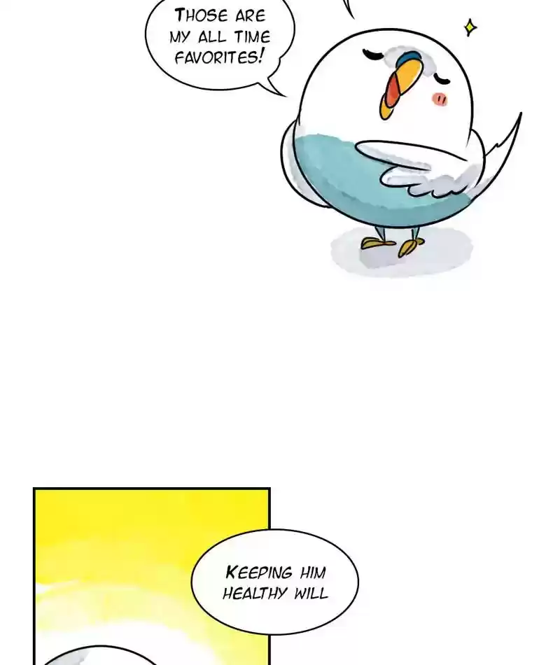 A Budgie's Life Chapter 240: Ep.239: