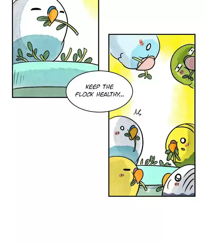 A Budgie's Life Chapter 240: Ep.239: