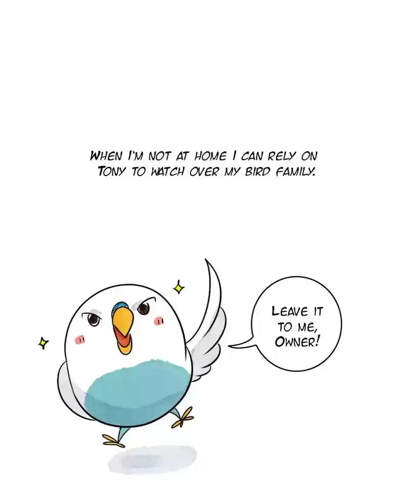 A Budgie's Life Chapter 240: Ep.239: