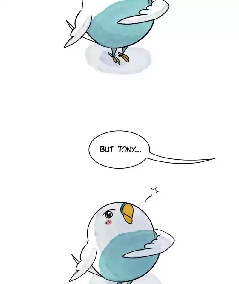 A Budgie's Life Chapter 240: Ep.239: