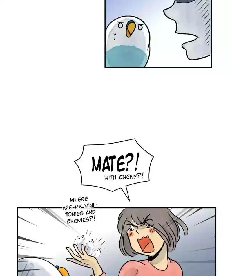 A Budgie's Life Chapter 240: Ep.239:
