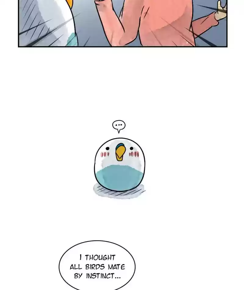 A Budgie's Life Chapter 240: Ep.239: