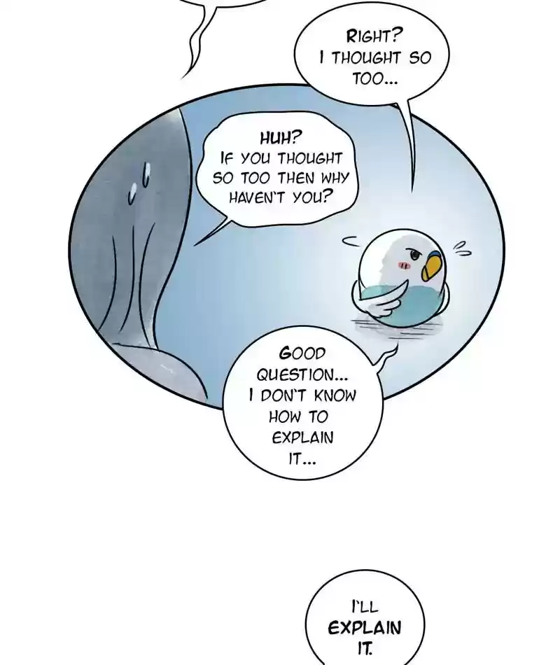 A Budgie's Life Chapter 240: Ep.239: