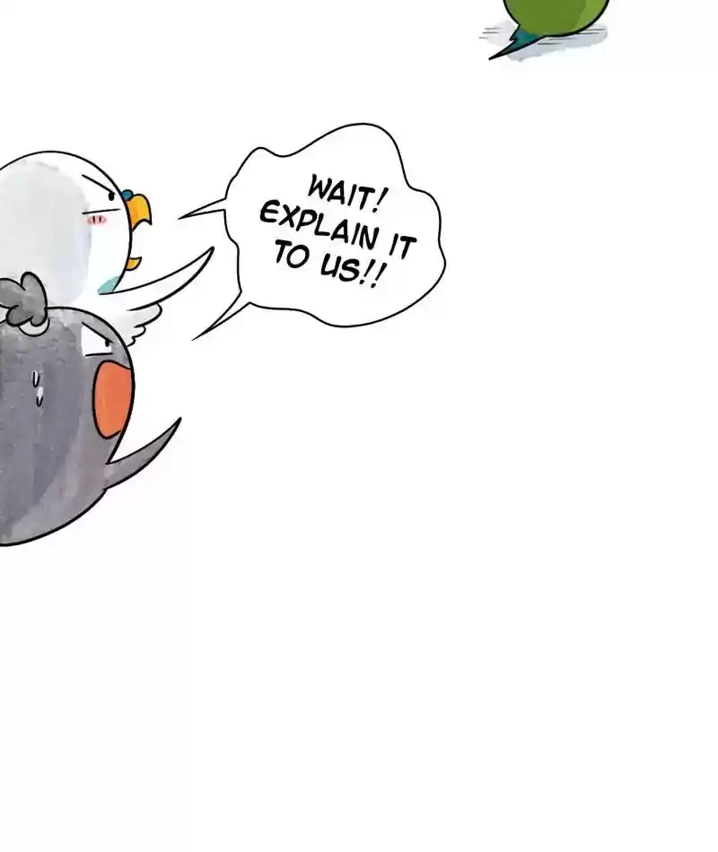 A Budgie's Life Chapter 240: Ep.239: