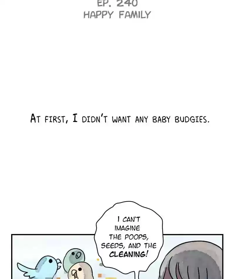 A Budgie's Life Chapter 241: Ep.240: