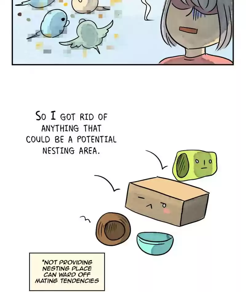 A Budgie's Life Chapter 241: Ep.240: