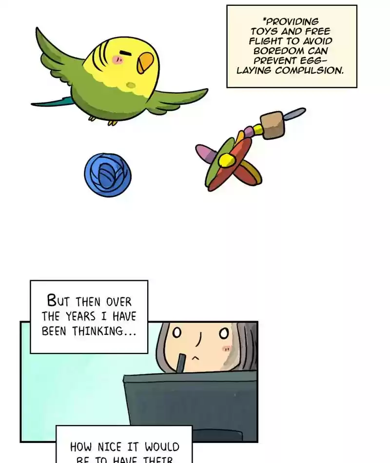 A Budgie's Life Chapter 241: Ep.240: