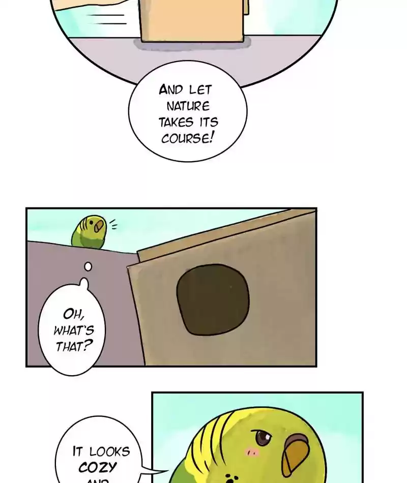 A Budgie's Life Chapter 241: Ep.240: