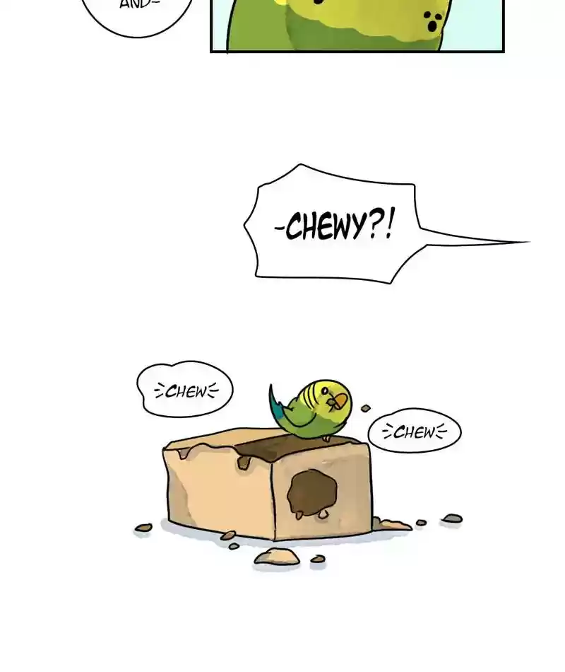 A Budgie's Life Chapter 241: Ep.240: