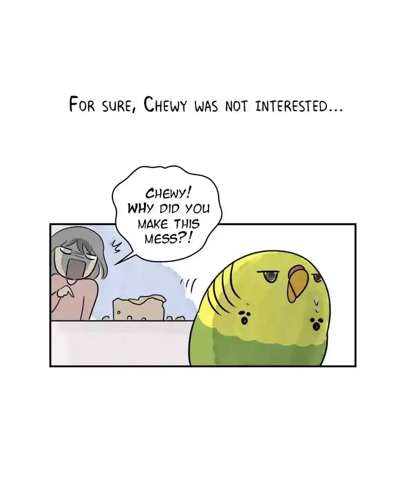 A Budgie's Life Chapter 241: Ep.240:
