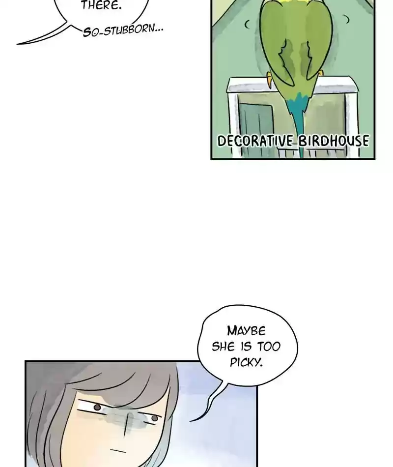 A Budgie's Life Chapter 241: Ep.240: