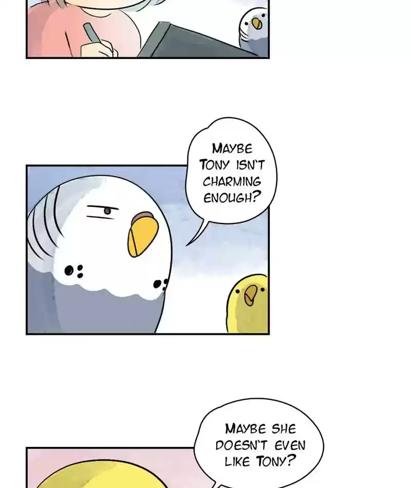 A Budgie's Life Chapter 241: Ep.240: