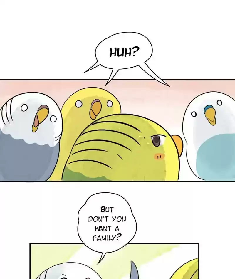 A Budgie's Life Chapter 241: Ep.240: