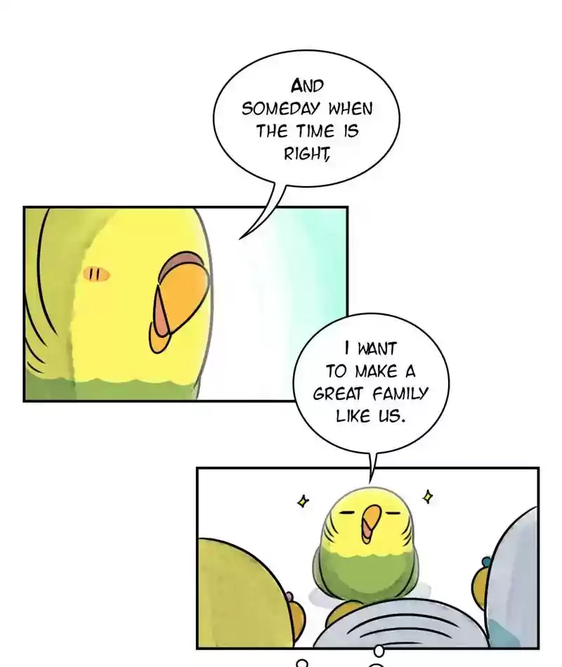 A Budgie's Life Chapter 241: Ep.240: